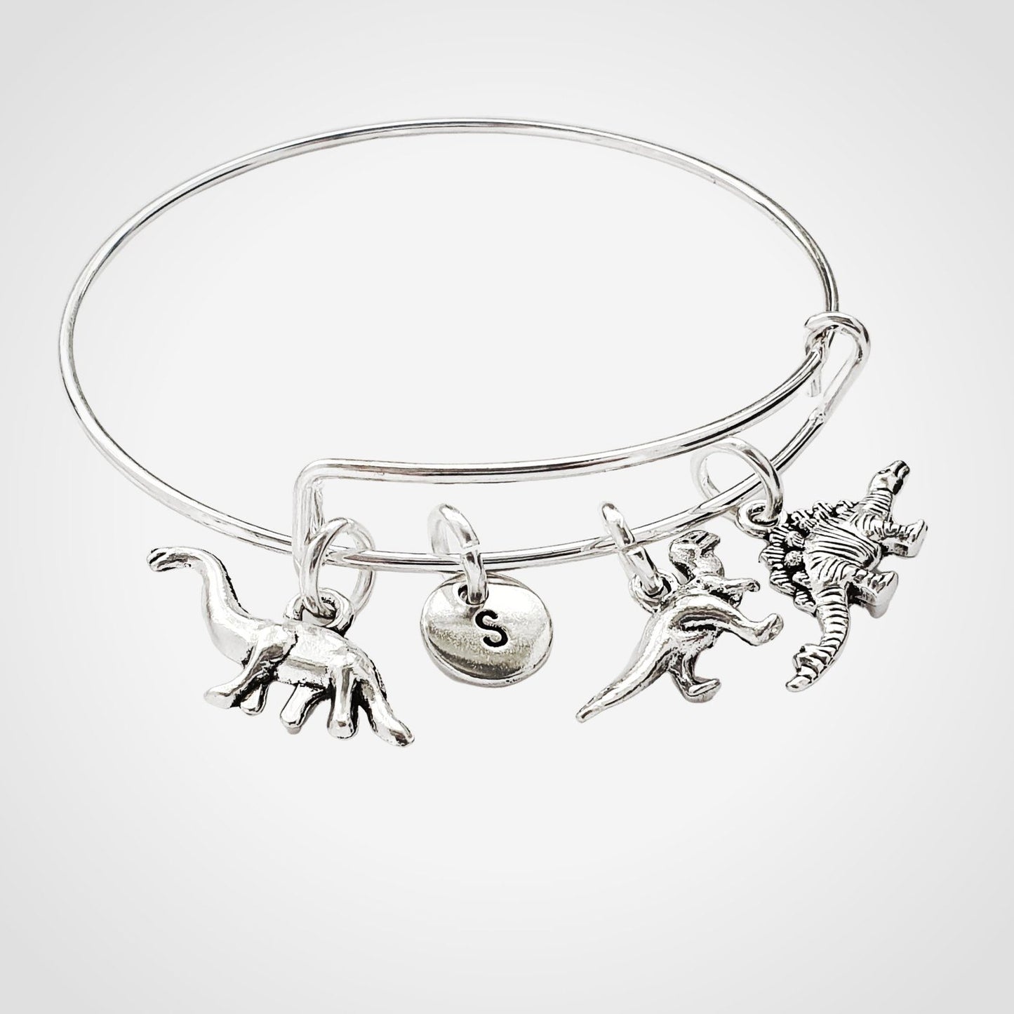 Dinosaur Charm Bangle Silver