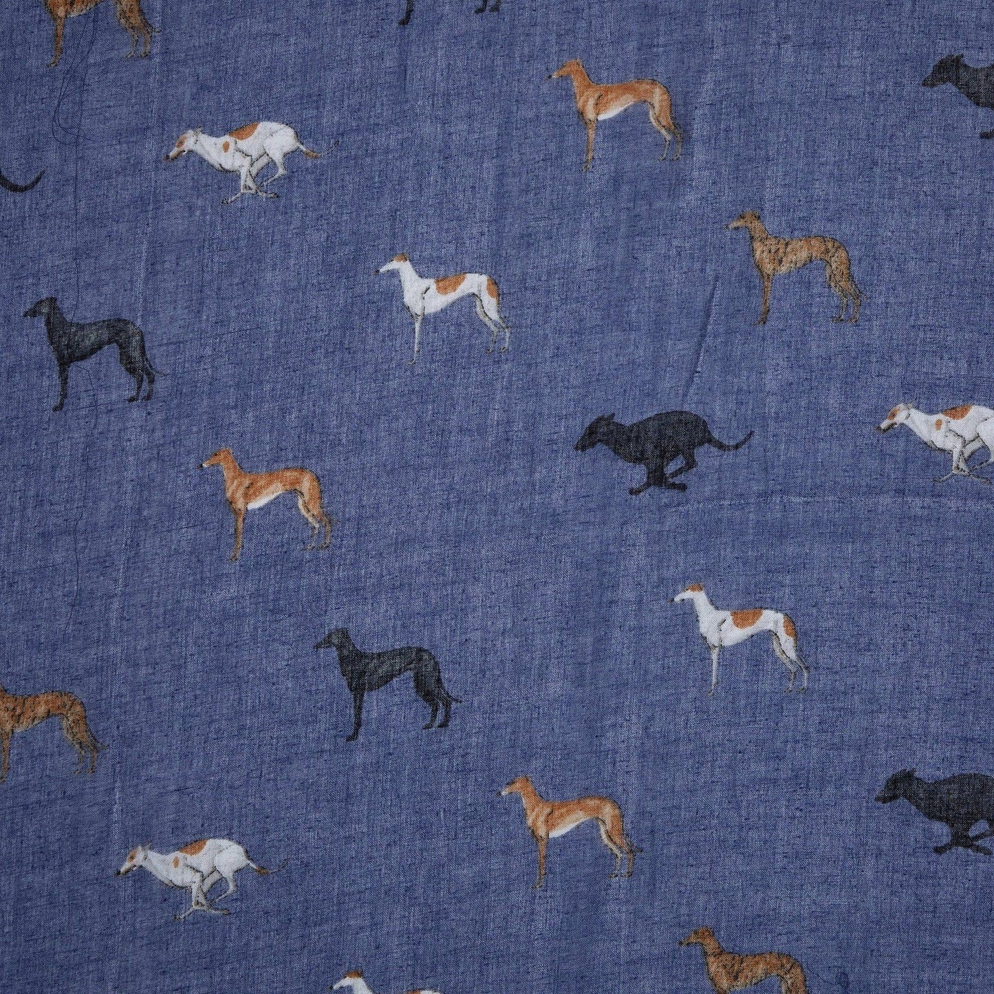 Gallivanting Greyhound Scarf Blue