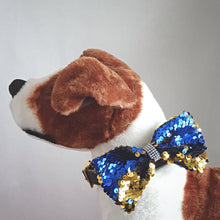 Load image into Gallery viewer, Mermaid Sequin Dog Bow Tie Gold Blue
