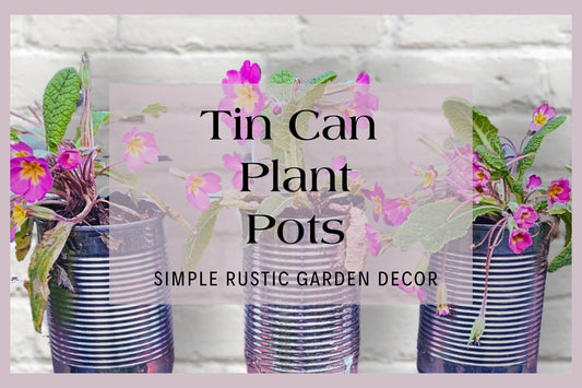 Tin Can Plant Pots