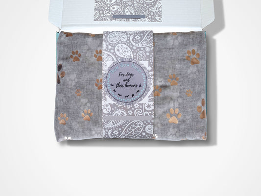 Foil Paw Print Scarf - Grey