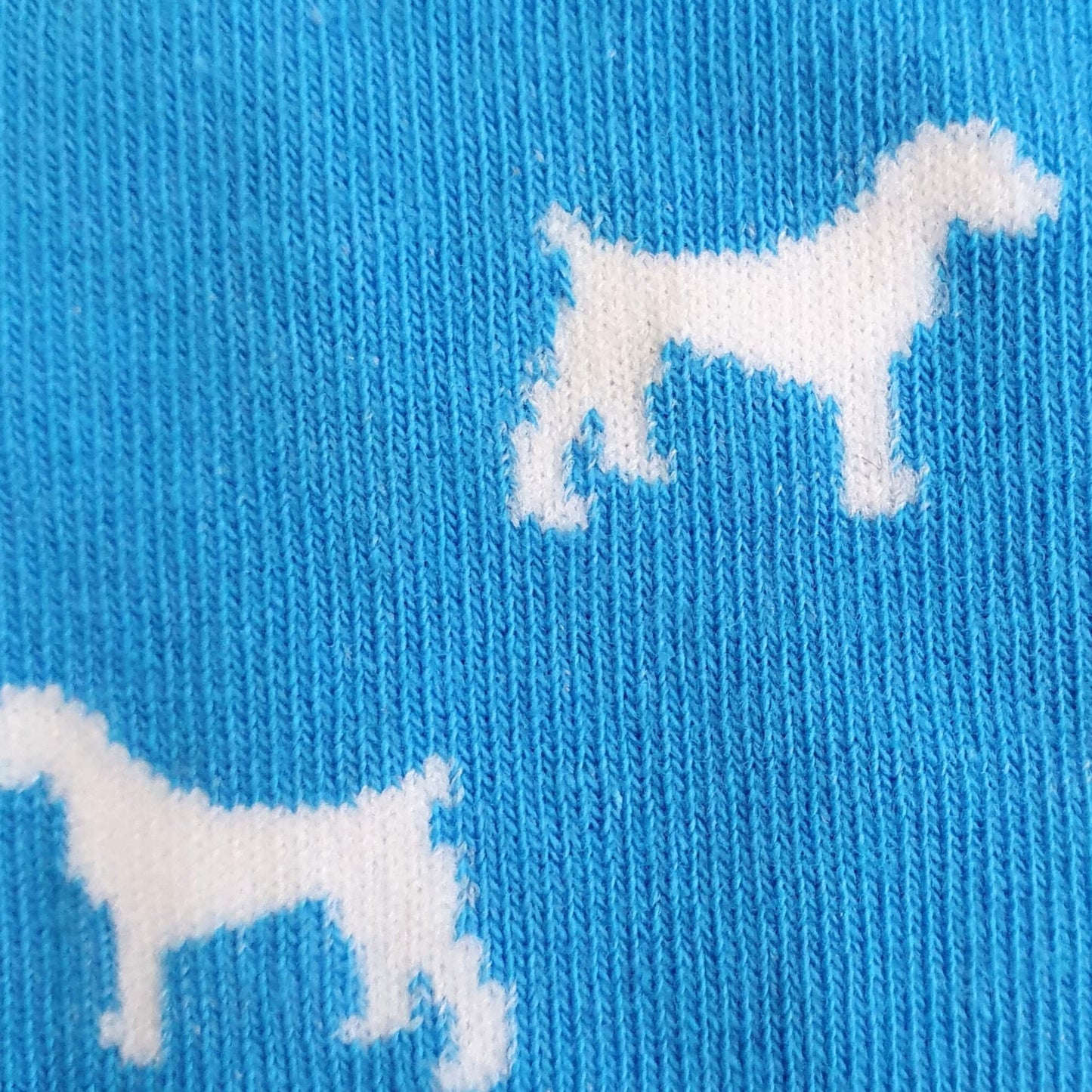 Labrador Socks - Blue