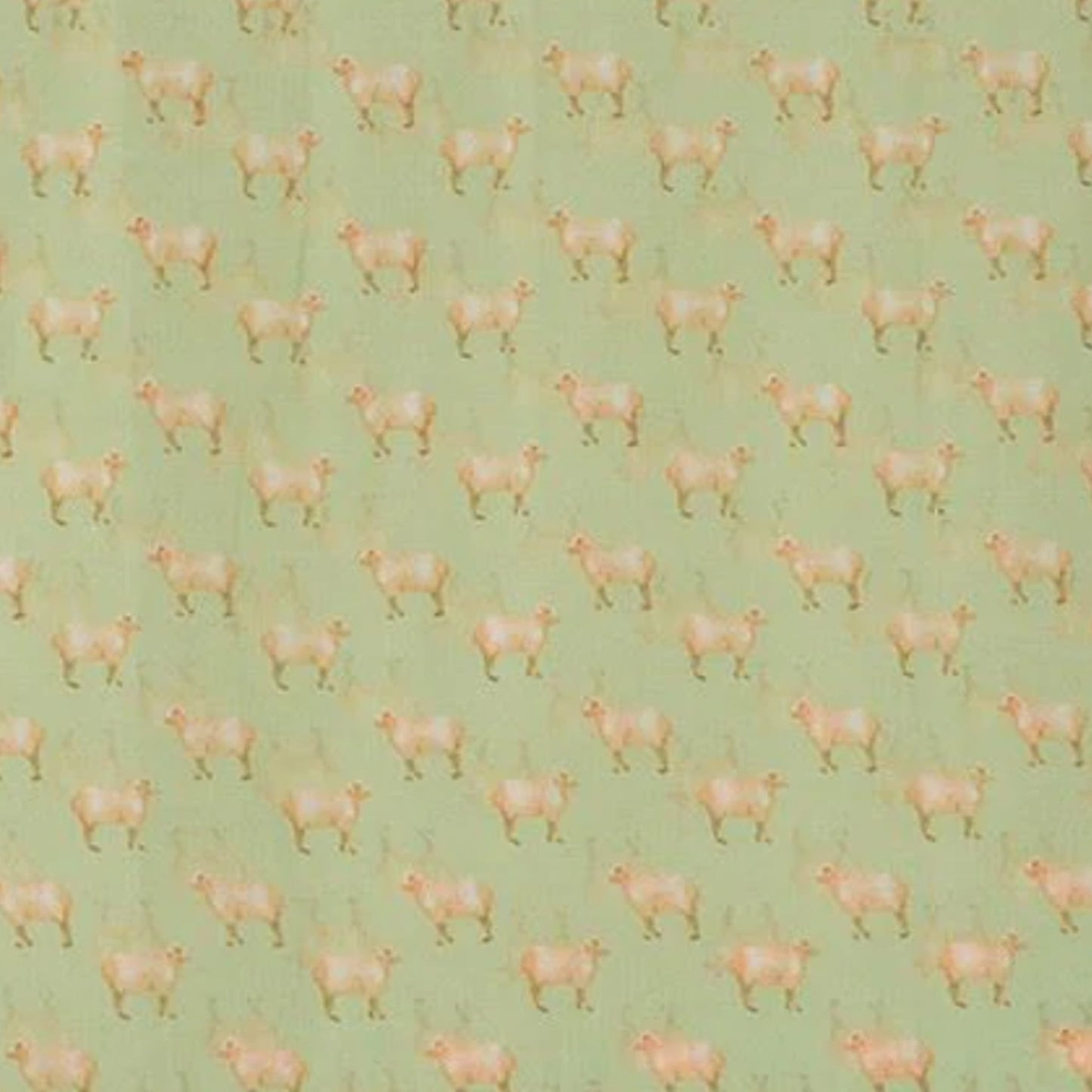 Pattern of beige sheep on a green background
