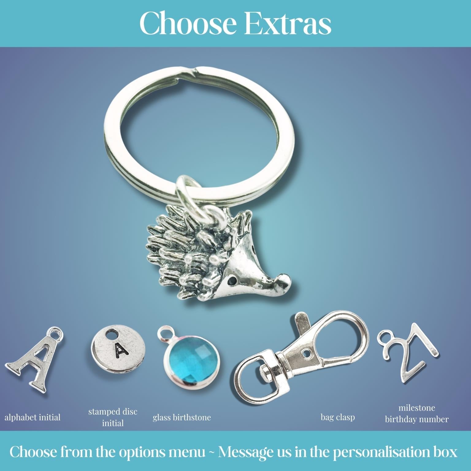 Silver hedgehog keychain with additional charms on a blue gradient background