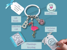 Load image into Gallery viewer, Flamingo Lover Keyring - Silver and Enamel
