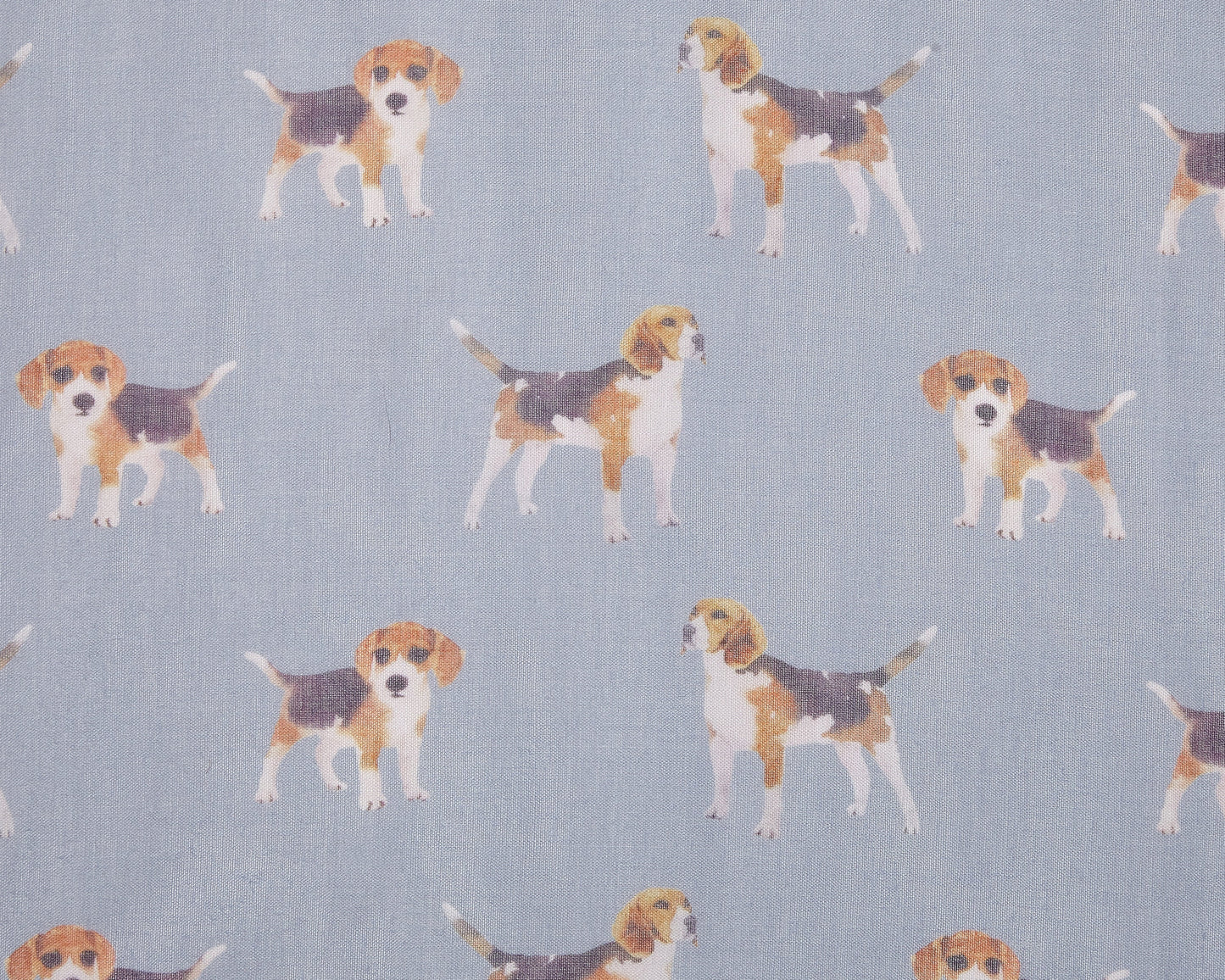 Beagle Dog Scarf - Grey Blue