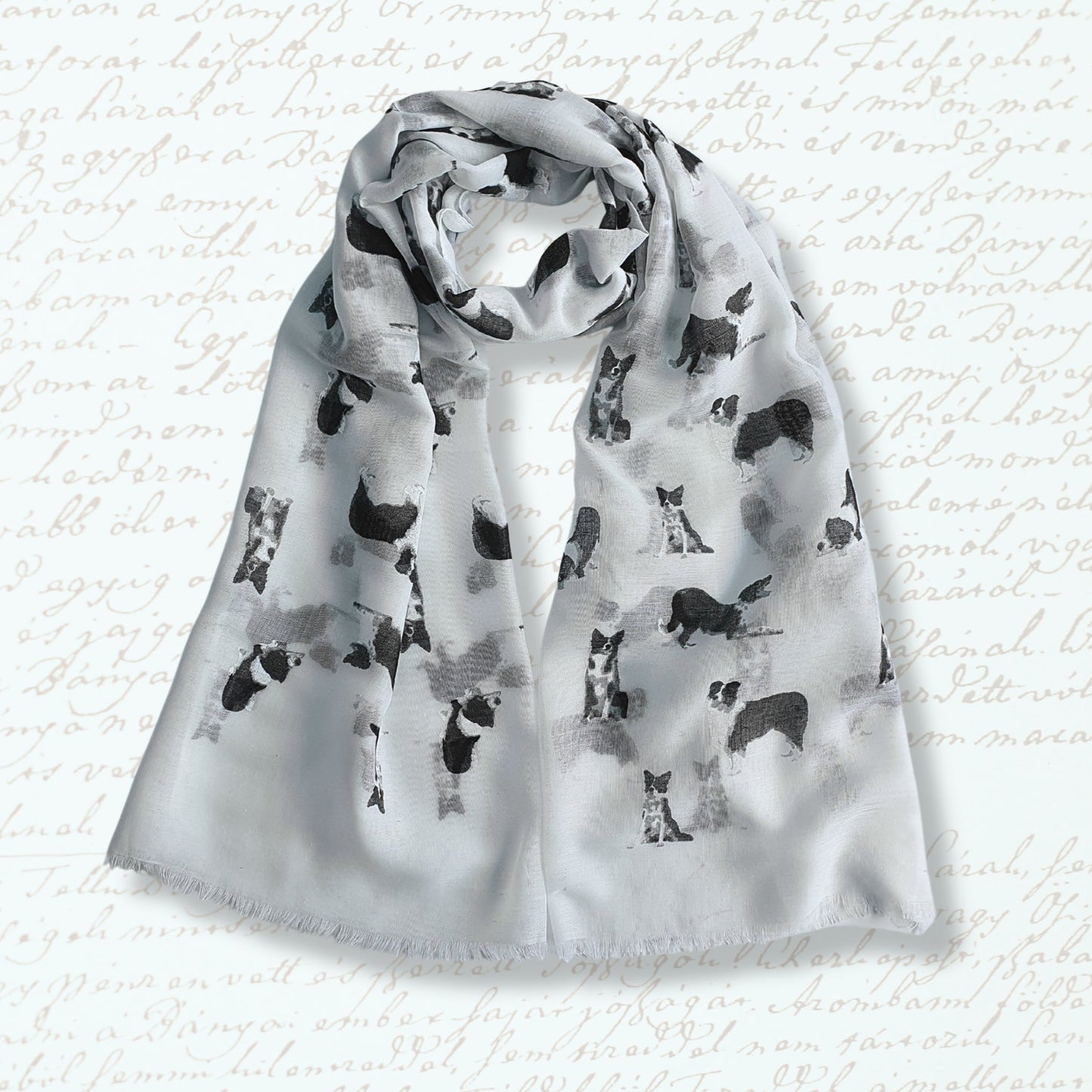 Border Collie Scarf - White