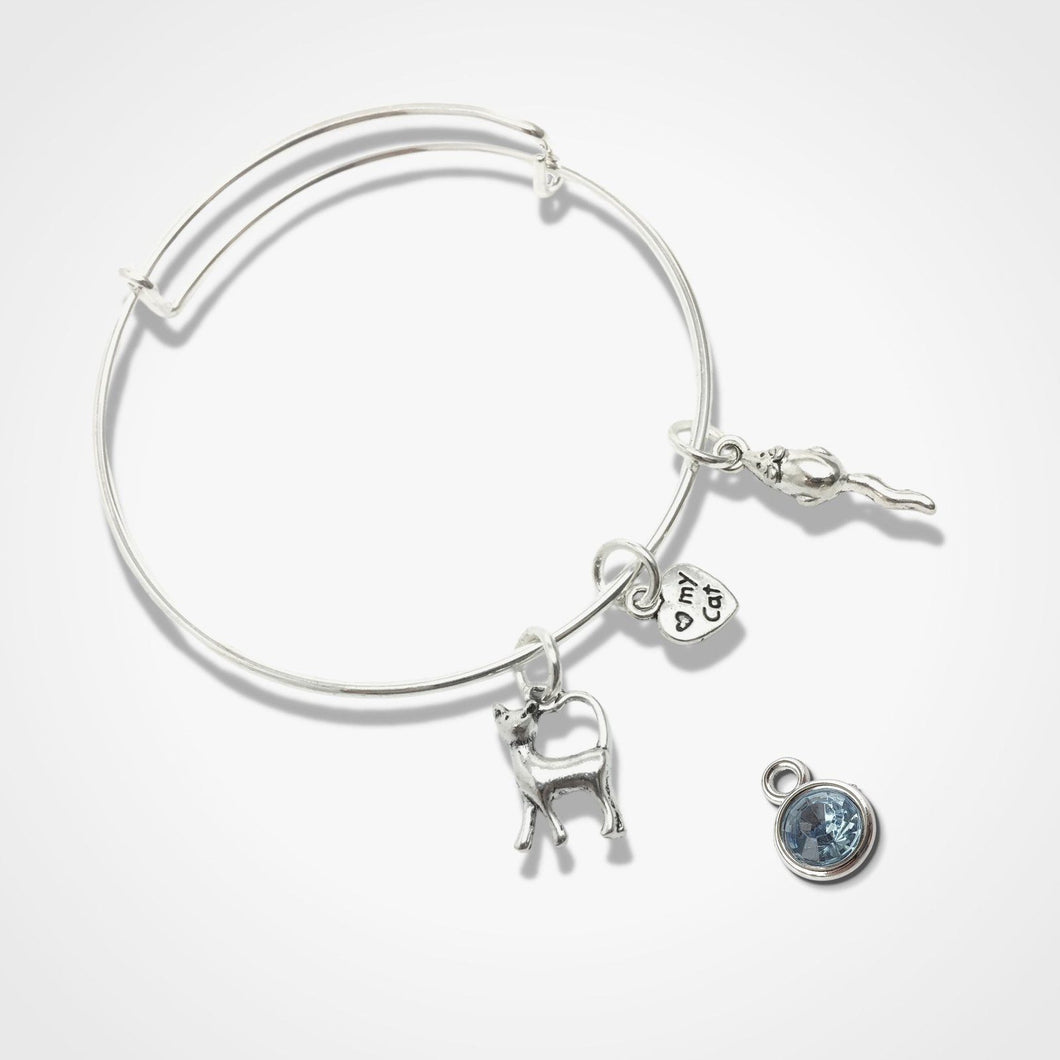Cat Lover Bangle Silver