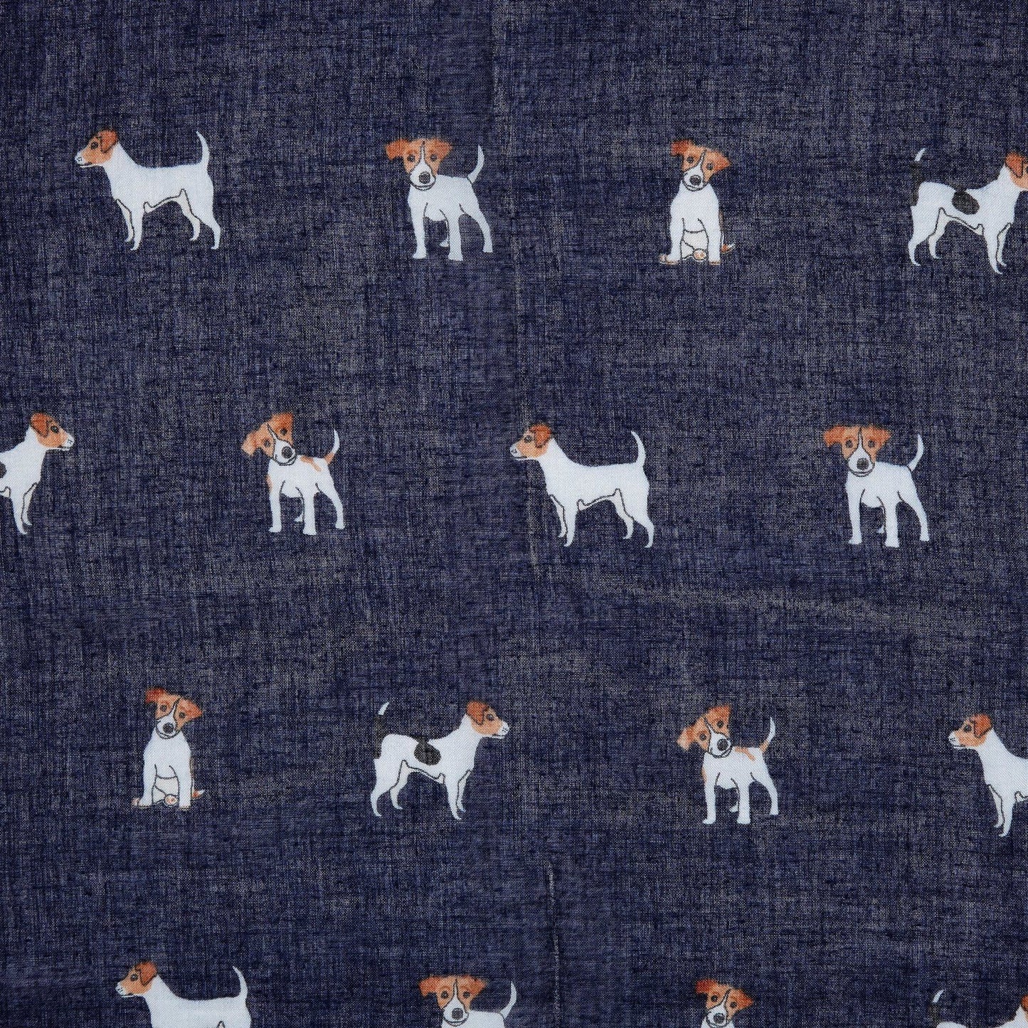 Jack Russell Dog Scarf Blue