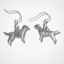 Load image into Gallery viewer, Retriever Earrings Silver

