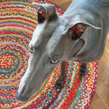 Load image into Gallery viewer, hardwearing colourful rug that can cope with a dog
