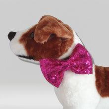 Load image into Gallery viewer, Sparkly Dog Bow Tie Cerise

