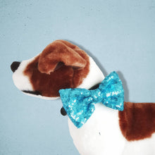 Load image into Gallery viewer, Sparkly Dog Bow Tie Turquoise
