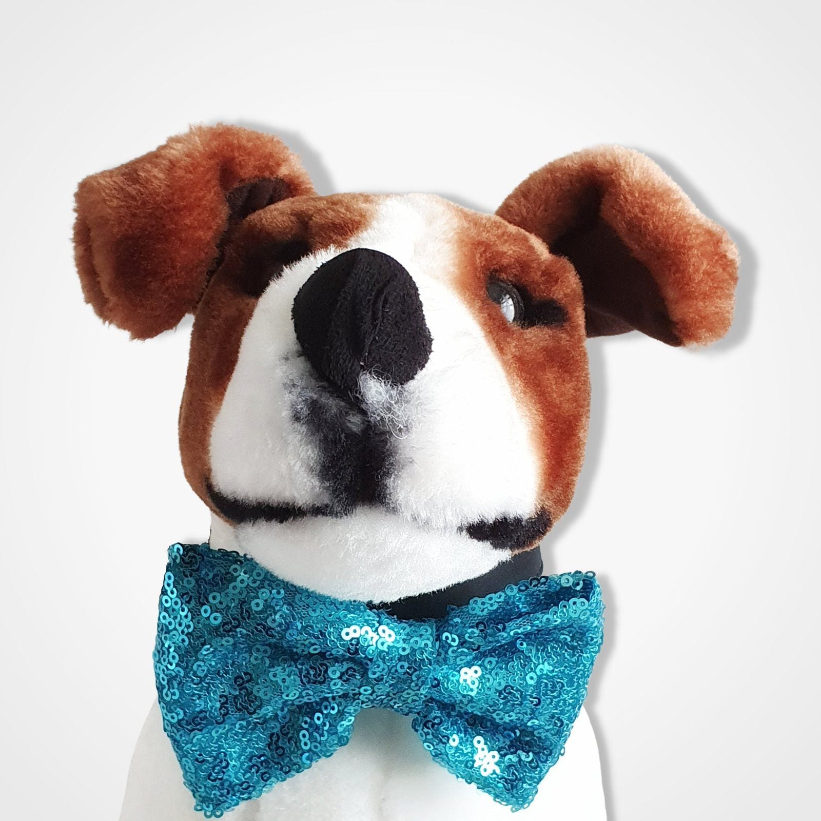 Sparkly Dog Bow Tie Turquoise